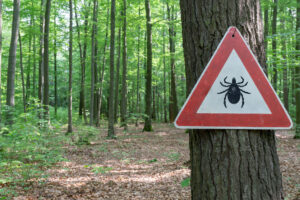 Image of a sign on a tree in a forest, warning of ticks in the area